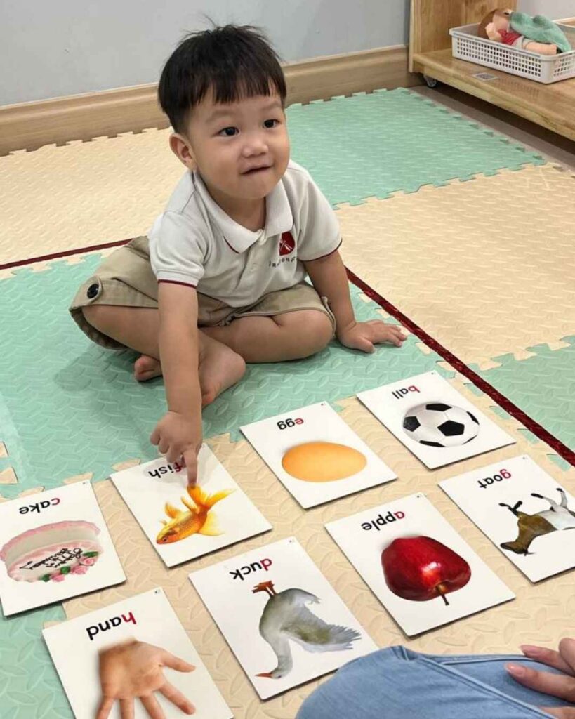 Dragonfly Toddler Programs | 12 to 24 months old | Toddler Care Preschool in Malaysia 6 Brainy Cards | Toddler Programs | 12 to 24 months old | Dragonfly The Leaders Preschool