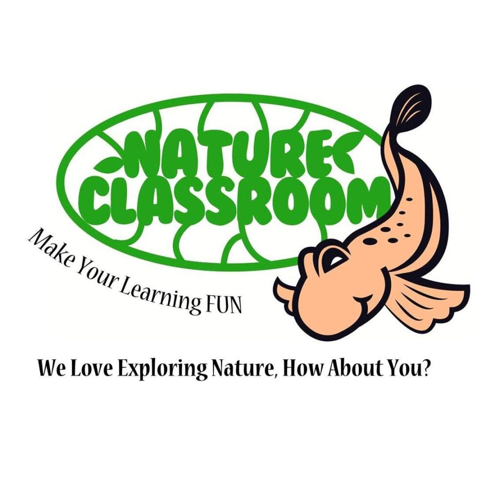 Natural Classroom | Collaboration Partners | Dragonfly The Leaders Preschool